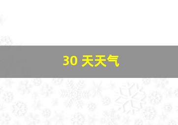 30 天天气